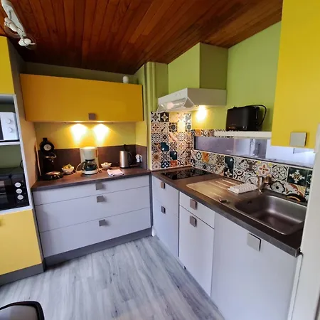 아파트 Duplex Avec Vue Sur Le Sancy Et Garage Couvert