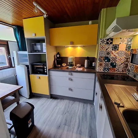 Duplex Avec Vue Sur Le Sancy Et Garage Couvert Murat-le-Quaire